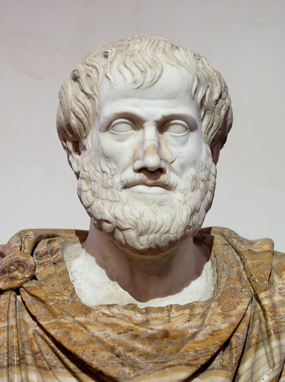 Portrait of aristotle